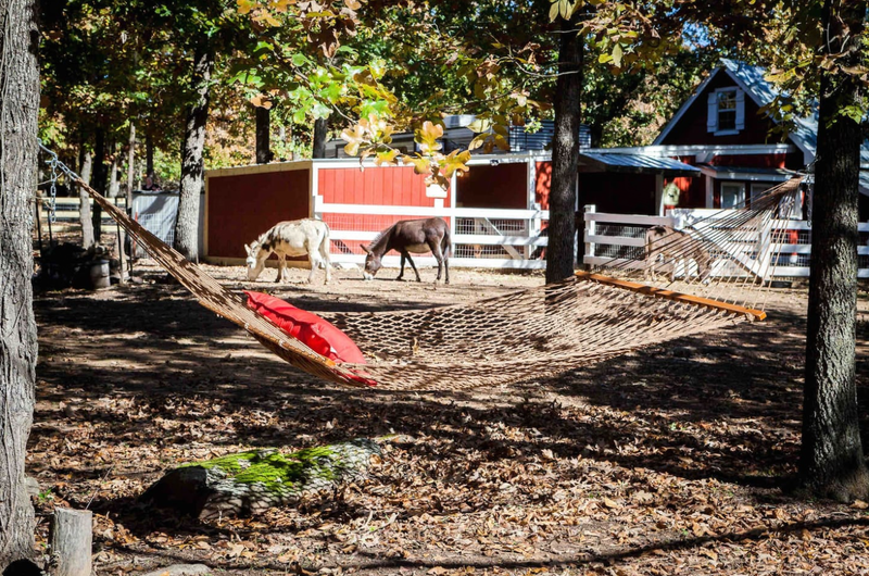 Okie Grown Farms Oklahoma's Official Travel & Tourism Site